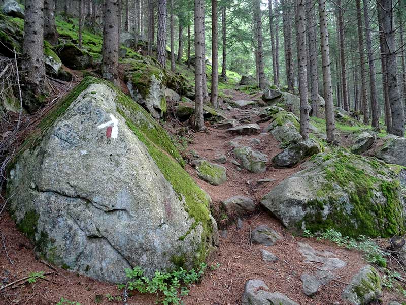 Quelle: http://www.sentres.com/de/bergtour/wollbachspitze